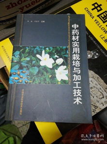 穿越时光的纸墨长河 山水书人的书摊与集书癖